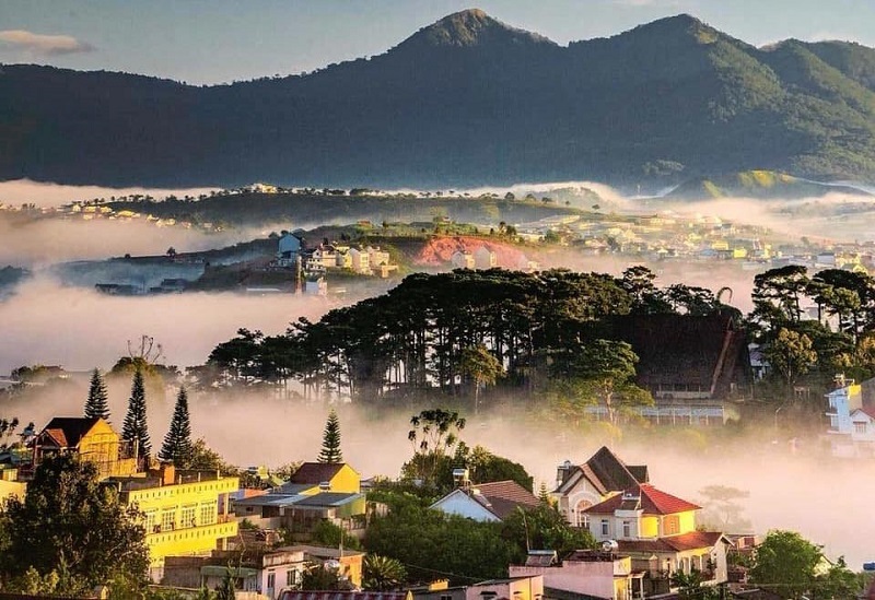 Tấm Cemboard tại lâm đồng