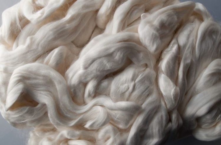 Tấm Cemboard có độc không