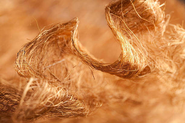 Sợi Cellulose & Vai Trò Trong Tấm Cemboard (Tấm Xi Măng) Tấm Cemboard